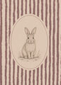Image Not Available